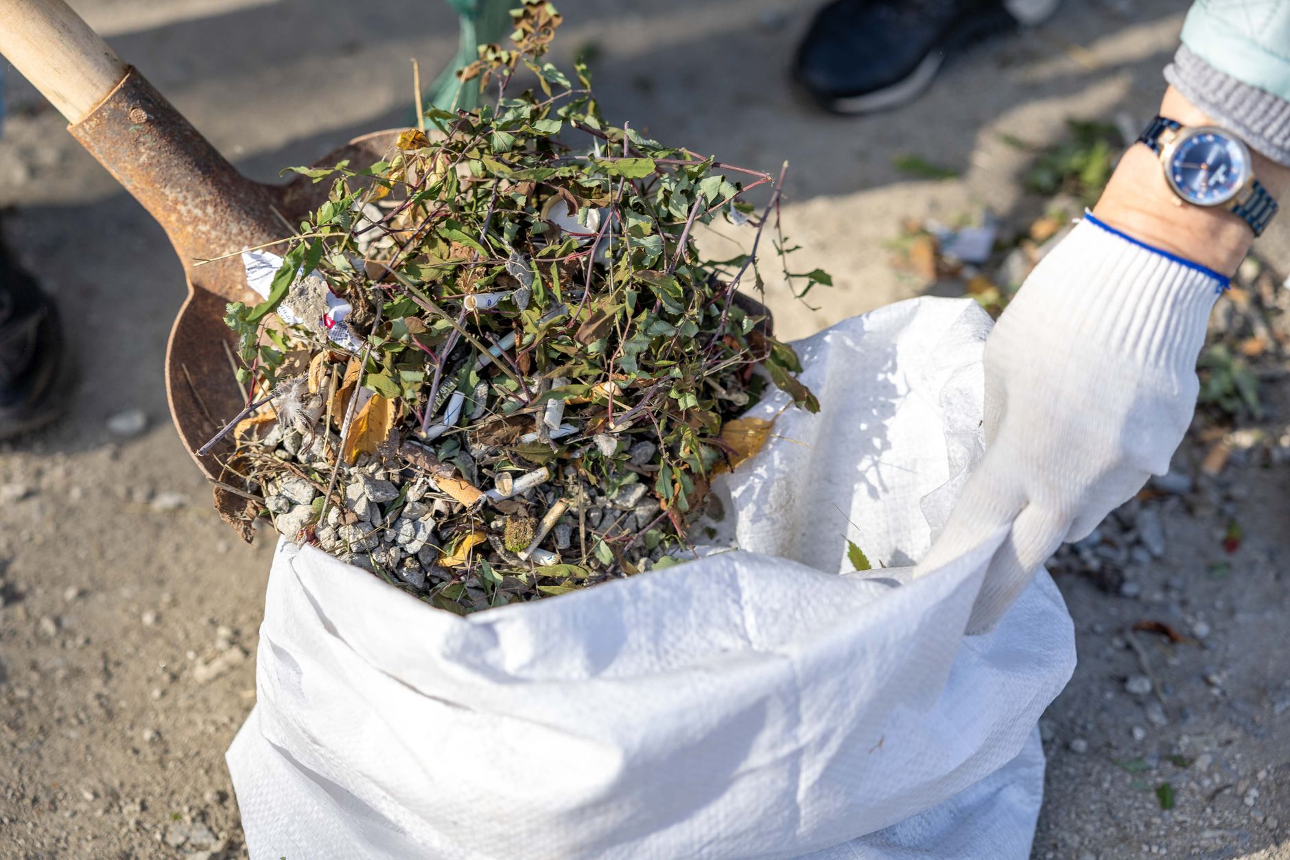 Garden waste clearance